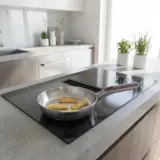 20cm induction frying pan Aubergine